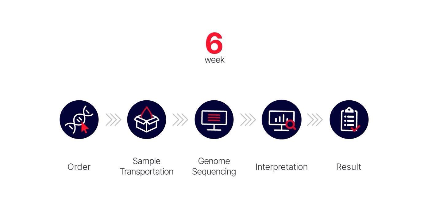 genetic-testing-process