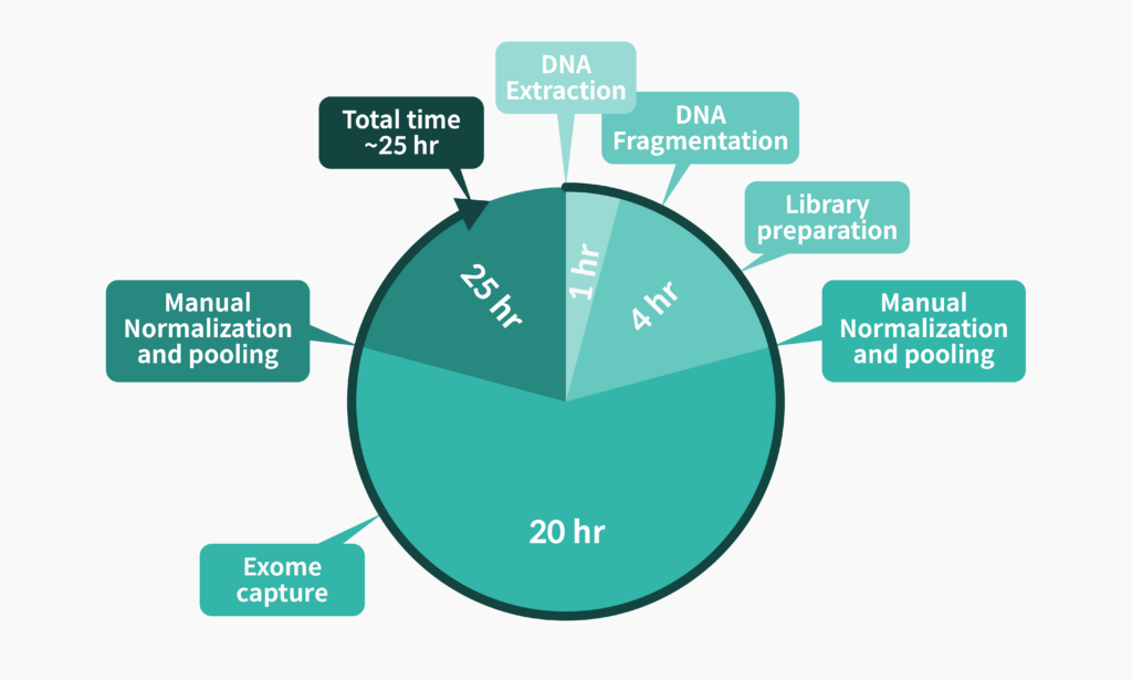 Whole exome sequencing workflow over 25 hours