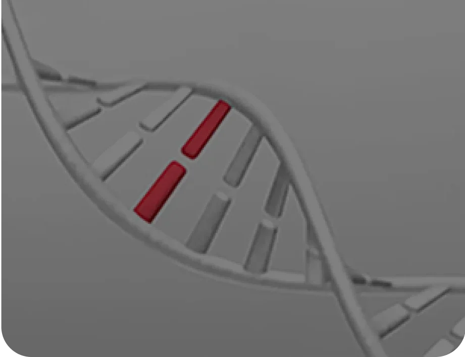 유전자 패널검사 대체되는 이유 (엑솜, 지놈 검사)