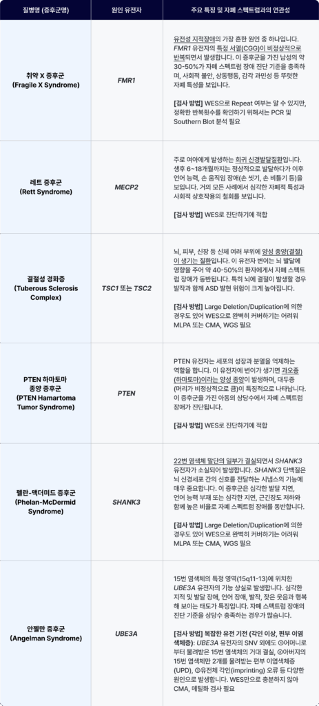 Table of key genes and syndromes linked to Autism Spectrum Disorder (ASD), including FMR1, MECP2, TSC1/2, PTEN, SHANK3, and UBE3A.