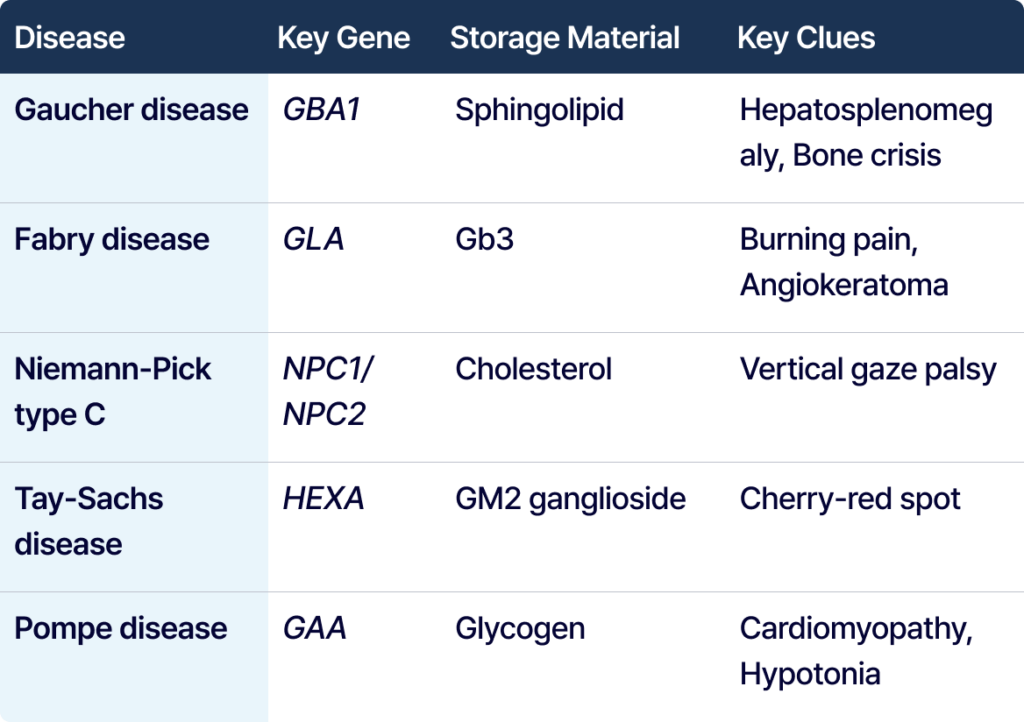 alt="Table of lysosomal storage diseases with key genes, storage materials, and clinical clues including Gaucher, Fabry, Niemann-Pick C, Tay-Sachs, and Pompe