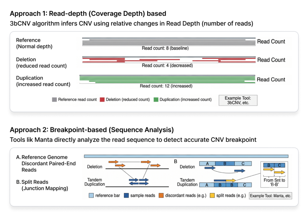 Diagram showing CNV detection mechanisms using Read-depth and Breakpoint-based approaches.
