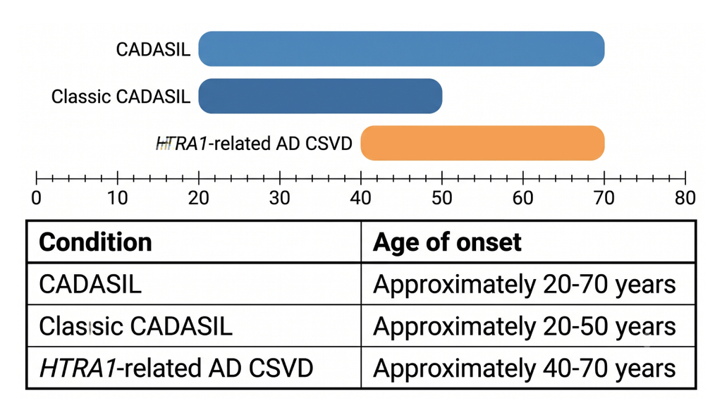 Bar chart and table comparing onset age ranges for CADASIL and HTRA1-related CSVD.