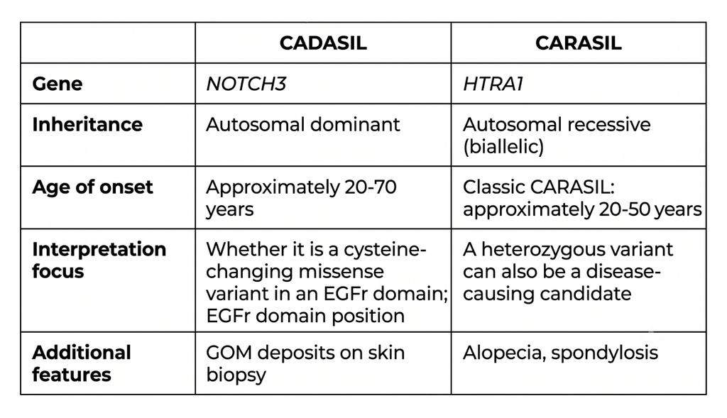 Comparison table of CADASIL and CARASIL genes, inheritance, onset age, and features.
