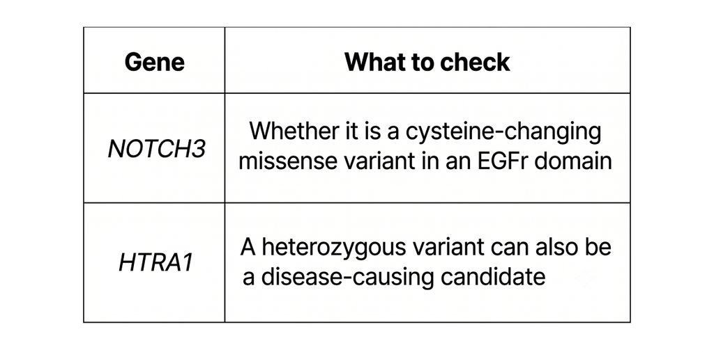 Table highlighting key variant checking points for NOTCH3 and HTRA1 genes.