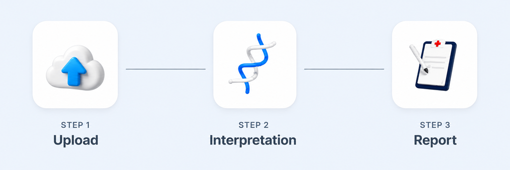Three-step process diagram showing Upload, Interpretation, and Report stages with 3D icons.