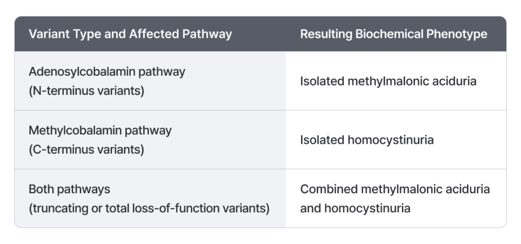 Table summarizing MMACHC variant types, affected pathways, and resulting biochemical phenotypes.