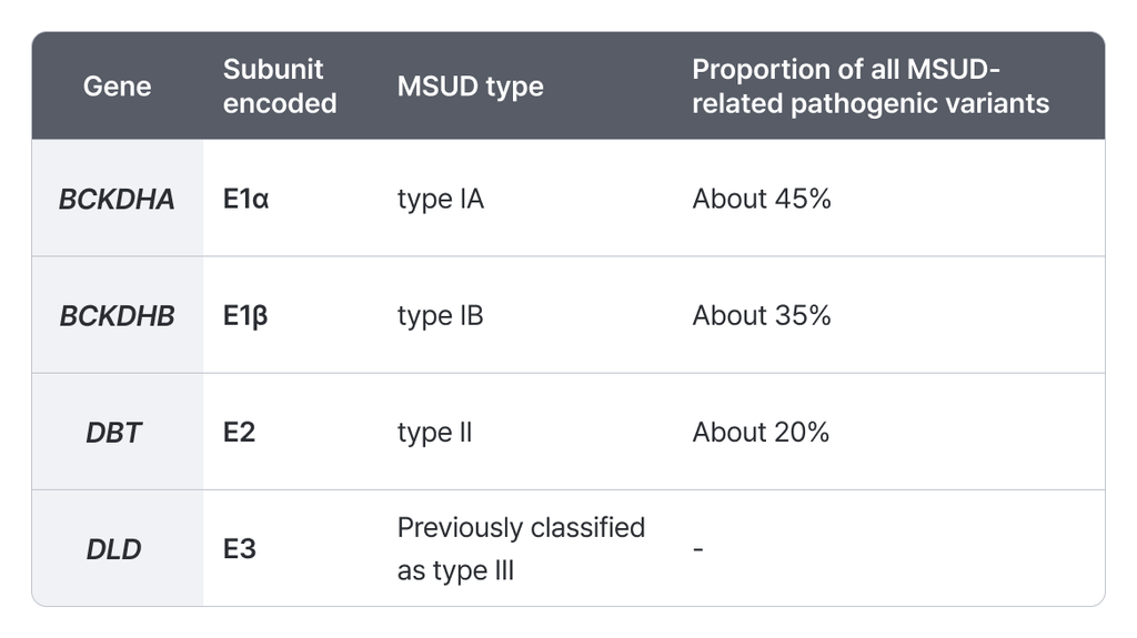 MSUD causative genes table. Details subunits, MSUD types, and pathogenic variant proportions for BCKDHA, BCKDHB, and DBT.