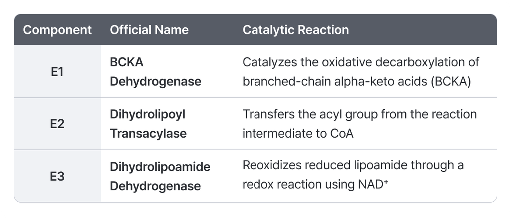 BCKD complex components table. Explains the official names and catalytic reactions of E1, E2, and E3 enzyme subunits.